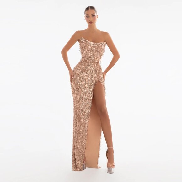Albina Dyla Bronze Gown - Picture 1 of 5